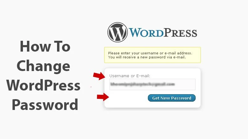 How To Change WordPress Password In The Easiest Way?