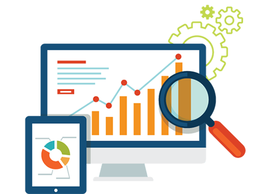 SEO Rankings