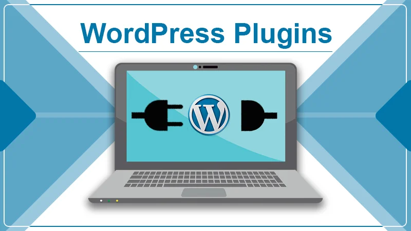 Everything You Need to Know About Using a WordPress Plugin