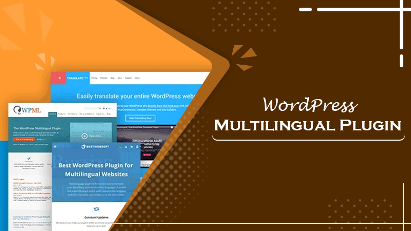 Use the WPML Plugin and Build Multilingual Websites in WordPress