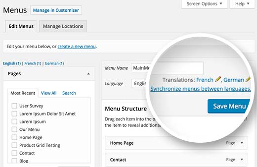 Wordpress Multilingual