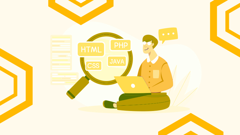 Skilled WordPress developers